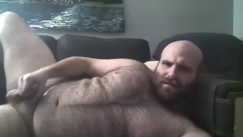 Hairiest Bear online show from January 20, 7:04 am
