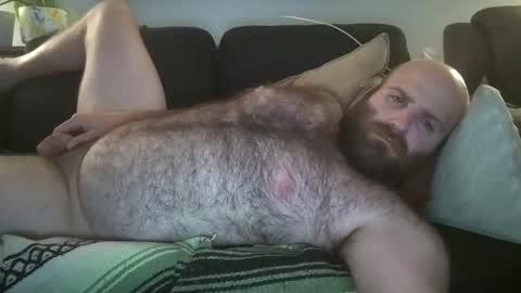 Hairiest Bear online show from May 18, 3:49 am