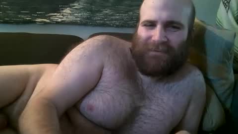 Hairiest Bear online show from December 14, 1:49 pm