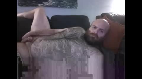 Hairiest Bear online show from May 16, 10:36 am
