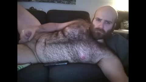 Hairiest Bear online show from January 11, 10:21 am