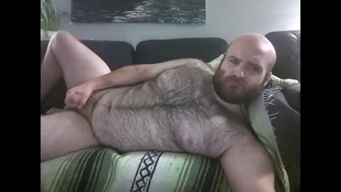 Hairiest Bear online show from May 2, 8:31 am