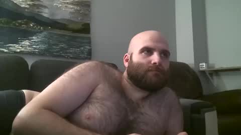 Hairiest Bear online show from January 25, 8:53 am