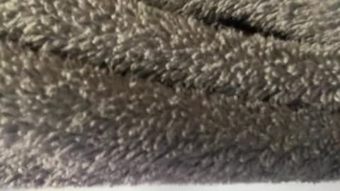 J  M online show from March 8, 4:56 am