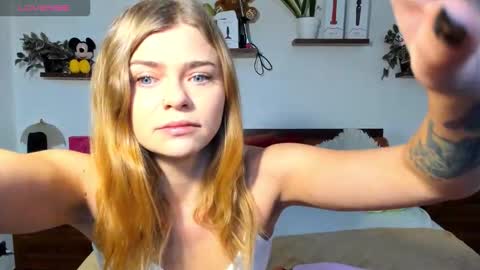 Haley online show from November 17, 8:06 am