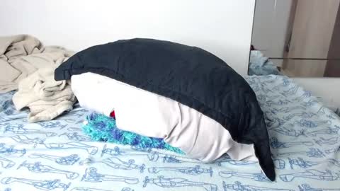 jorge daniel online show from January 14, 1:06 pm