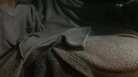 Handyman online show from November 22, 1:42 pm