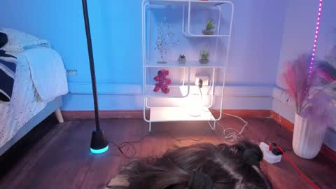 Hannah online show from February 9, 12:31 pm