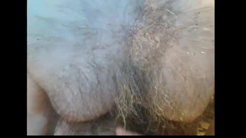 harry_banana online show from April 2, 10:11 am