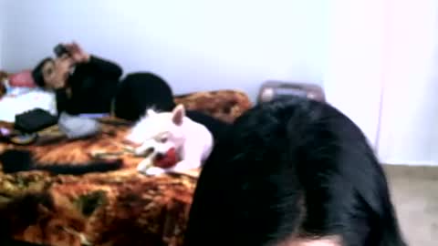 haylie85 online show from December 15, 8:36 pm