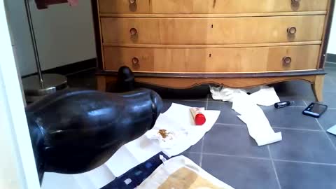 helisporty online show from November 14, 8:16 am