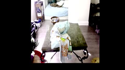 HenryFlapper online show from January 4, 7:44 pm