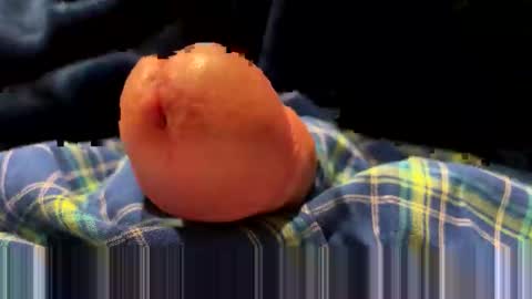 highpeakswe online show from October 11, 3:44 am