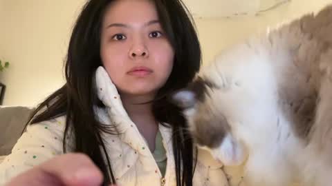 amy online show from December 16, 6:25 pm