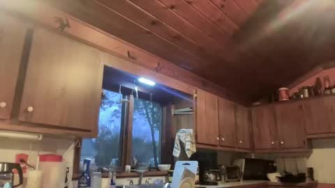 Hollys Drive threw Side Of CB. online show from October 31, 11:21 am