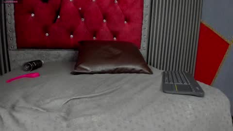       8am -2pm online show from February 13, 3:24 pm