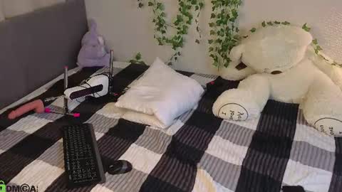 Honey online show from June 25, 3:36 am
