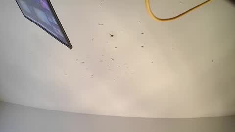 hornybabywetsyrup online show from March 1, 11:09 pm