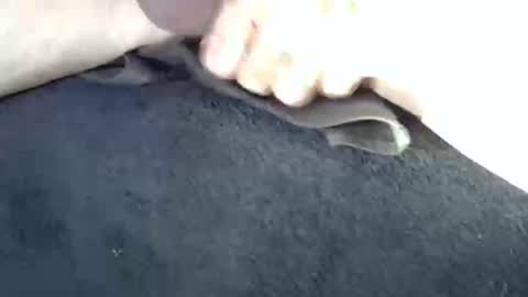 horse_dick9 online show from November 1, 7:51 am