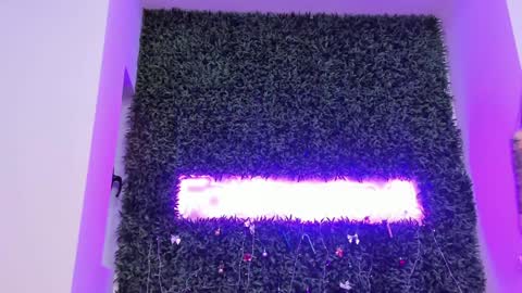 hotfallingdevil online show from January 12, 6:20 am