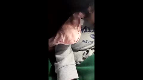 hp58649blabla online show from February 25, 5:33 am