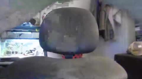 hrnyymff online show from November 1, 3:28 am