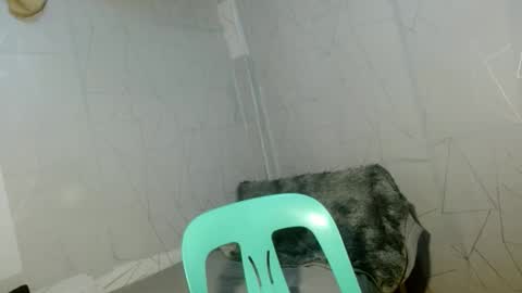 Cara online show from April 12, 9:02 am