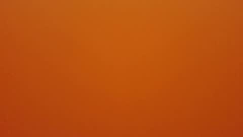 hundeleine online show from December 16, 9:04 am