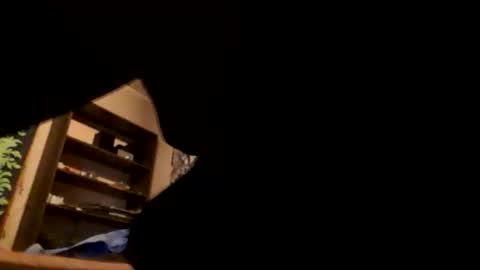 hynniit online show from October 13, 7:05 pm