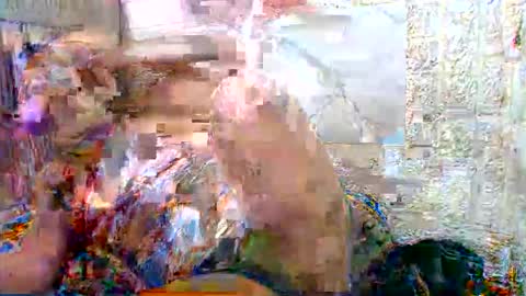 jamaeca online show from May 31, 8:57 am