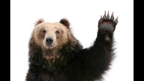 The one online show from February 26, 11:35 am