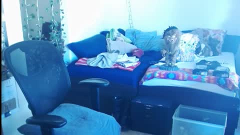 PMS online show from February 24, 5:42 pm