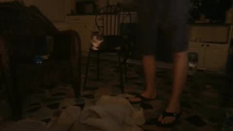 idksohorny online show from December 21, 6:41 am