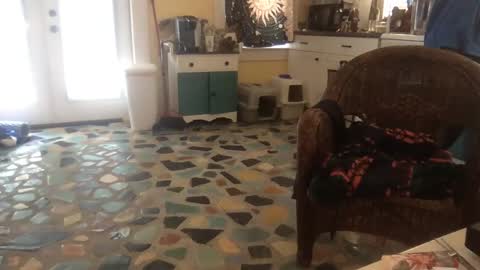 idksohorny online show from February 2, 7:46 pm