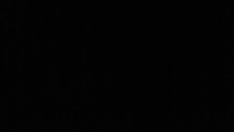 idksohorny online show from February 15, 7:38 am