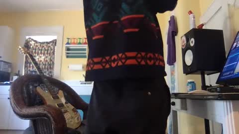 idksohorny online show from December 1, 5:15 pm