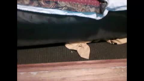 idkwhyidothis348732 online show from January 5, 6:02 pm