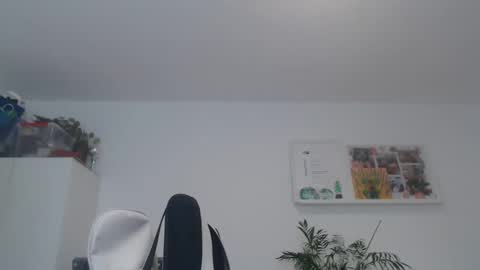 ner d online show from February 21, 8:51 am