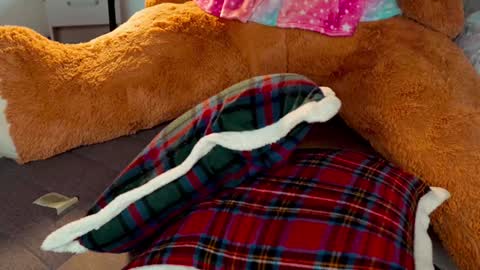 Joanna  Independent model. online show from November 9, 9:50 pm