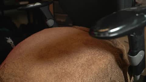 Inches online show from February 15, 4:17 pm