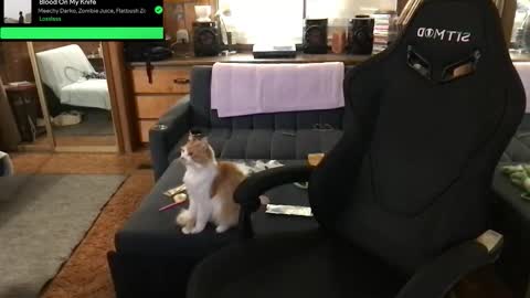 Carter online show from December 1, 9:07 am