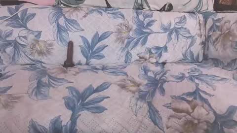 Parul online show from March 26, 10:09 am