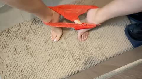 iopensusa online show from December 27, 2:22 pm