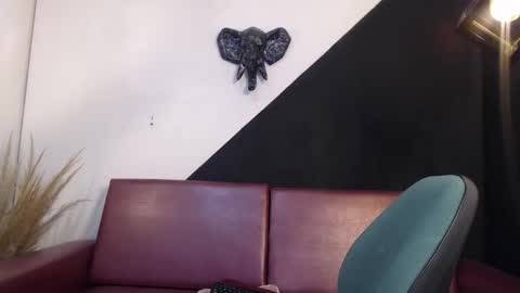   online show from February 19, 2:38 pm