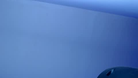 isabella__666 online show from November 26, 5:05 am