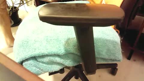 islandforfun online show from October 28, 7:04 pm