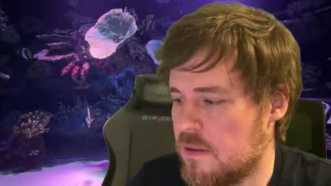 pain online show from December 4, 12:54 am