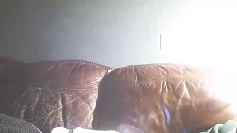 itstunechi online show from February 15, 7:27 am