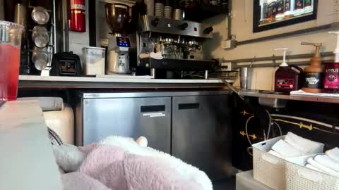 Ivy Rose online show from November 19, 3:55 pm