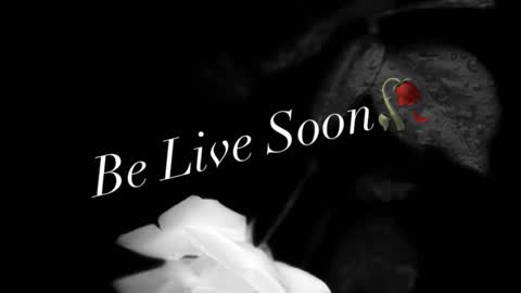 Ivy Rosie online show from November 28, 3:41 pm